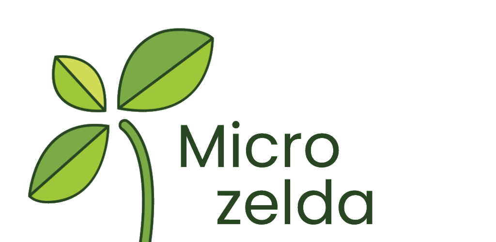 MicroZelda Logo